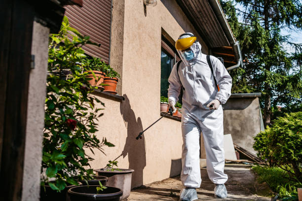 Best Best Pest Control Companies  in Springville, NY