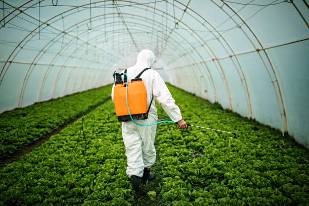 Best Pest Control Near Me  in Springville, NY
