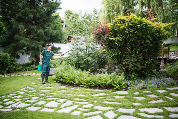 Best Local Pest Control Services  in Springville, NY