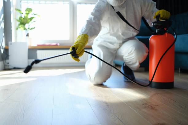 Best Commercial Pest Control Services  in Springville, NY