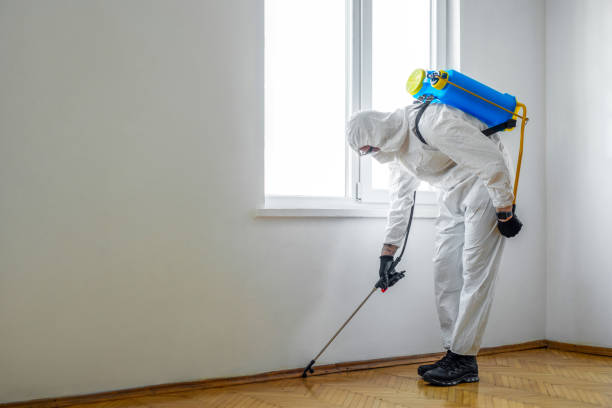 Best Exterminator Services  in Springville, NY