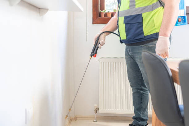 Best Local Pest Control Services  in Springville, NY