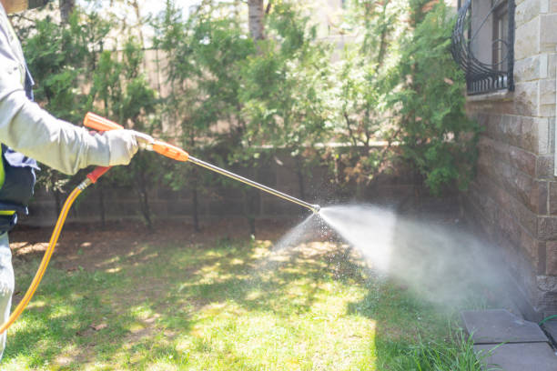 Best Pest Prevention Services  in Springville, NY