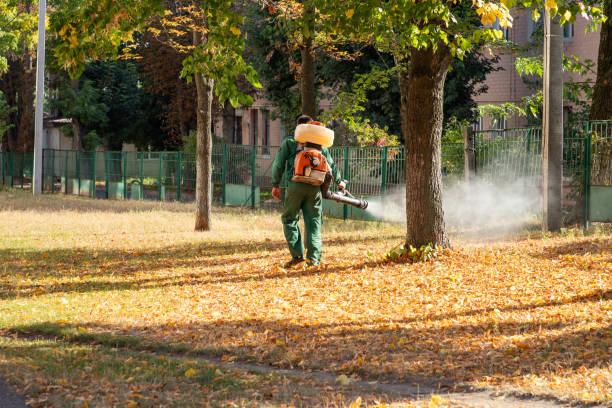 Best Residential Pest Control  in Springville, NY