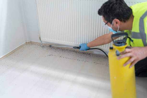 Best Pest Inspection Near Me  in Springville, NY